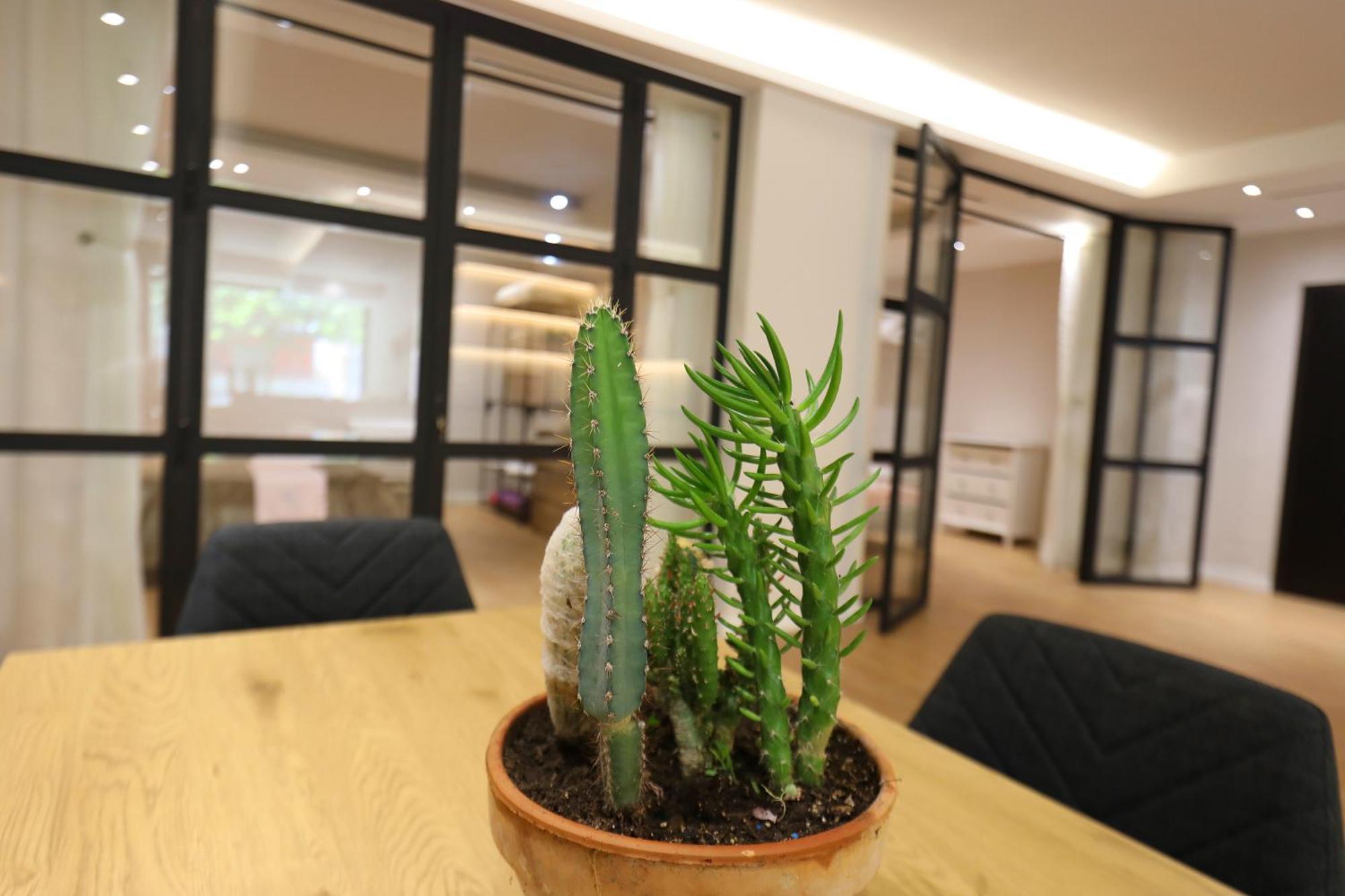 Amantia Apartment Vlorë Екстериор снимка